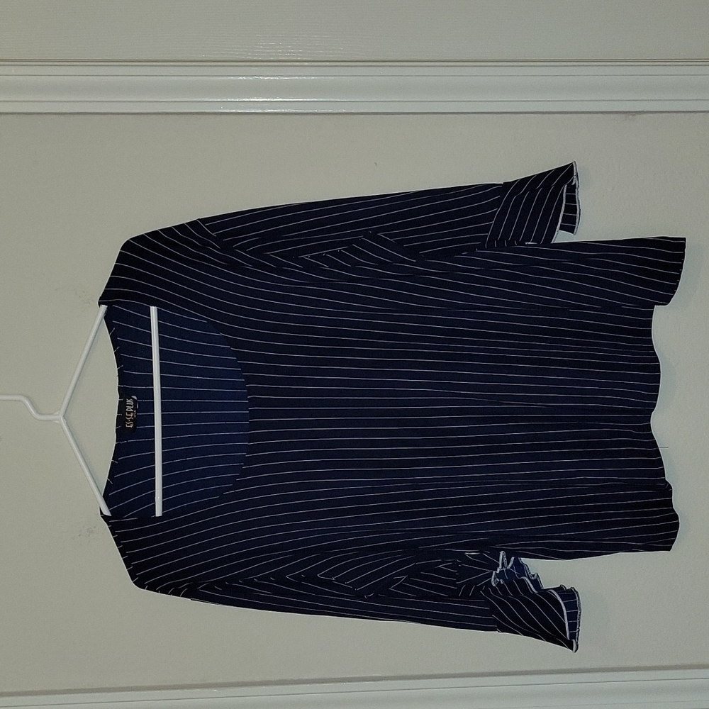 Es-Se Plus Blue Pinstripe Blouse